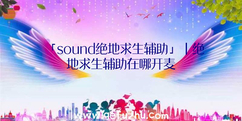 「sound绝地求生辅助」|绝地求生辅助在哪开麦